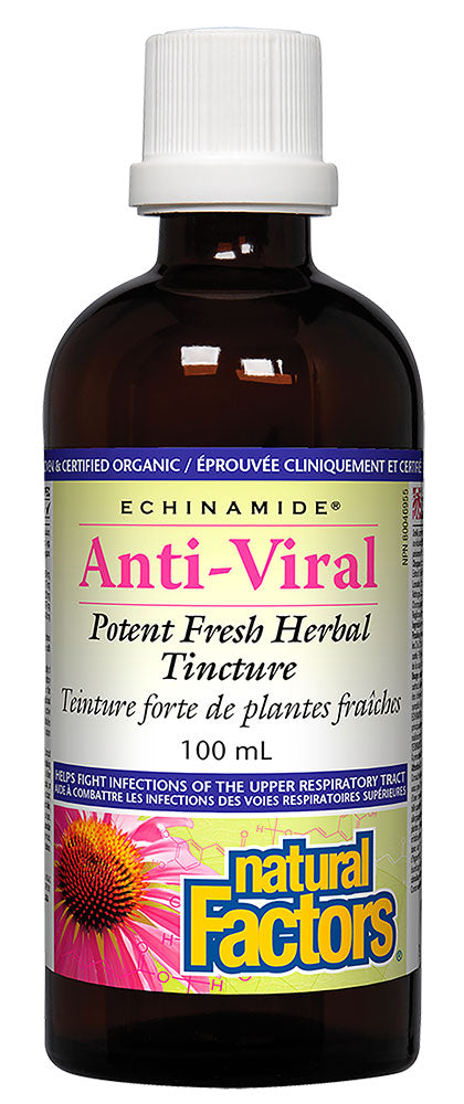 NATURAL FACTORS - Echinamide Anti-Viral (100 ml)