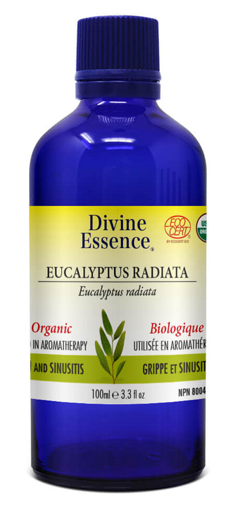 DIVINE ESSENCE Eucalyptus Radiata (Organic - 100 ml)