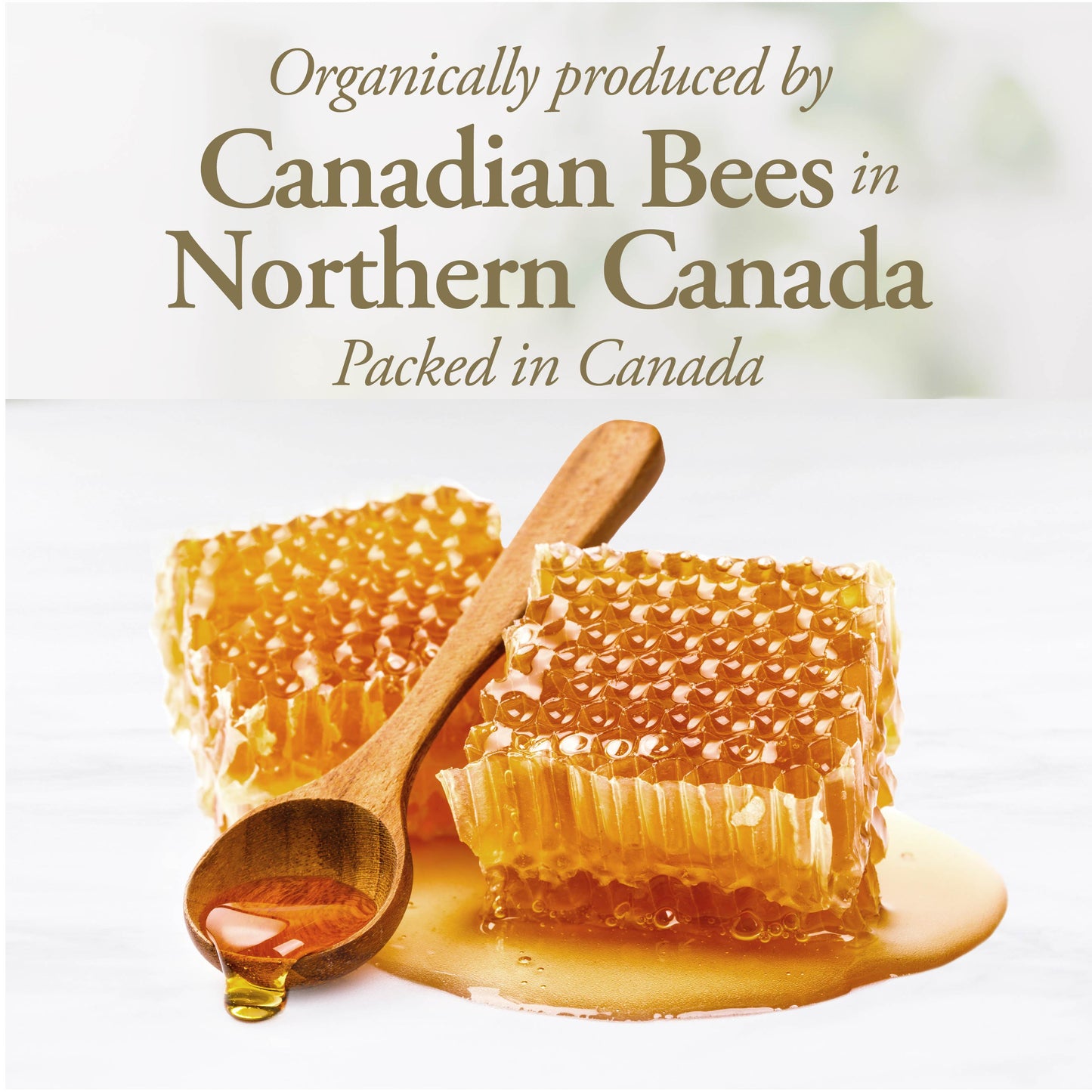 DUTCHMAN'S GOLD Organic Raw Honey 330 g
